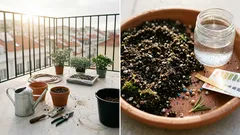 Jardinagem para iniciantes: 8 dicas para o jardim pegar (e evitar os erros do início)