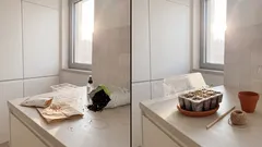 Como fazer uma sementeira em casa: os detalhes que fazem a diferença na germinação e no transplante