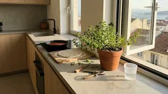 Como cultivar orégão em vaso em casa e manter o aroma intenso durante anos