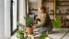 10 plantas de interior para pouca luz: o que é (sem mitos) e como não falhar na rega