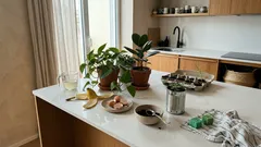 As suas plantas de interior perderam o brilho? 7 truques baratos para lhes dar outra vida