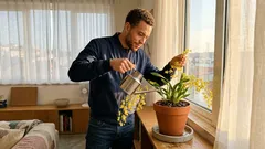 Orquídea chuva de ouro: guia de cuidados para florir em casa sem complicações