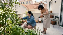 Óleo de neem: como usar nas plantas para combater pragas sem químicos agressivos