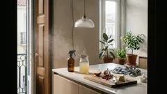 Inseticida caseiro para plantas: receita de alho, cebola e malagueta contra pulgões e cochonilhas