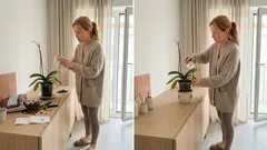 Entre perfumes doces e flores que duram: 10 orquídeas comuns para reconhecer e escolher