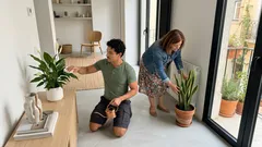6 plantas de interior com fama de “proteger” a casa — onde as colocar e que cuidados ter