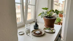 Bicarbonato de sódio na horta: 4 usos práticos (e os cuidados para não estragar o solo)