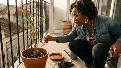 Pimenteira sem pimentas? 5 ajustes simples para voltar a rebentar e frutificar