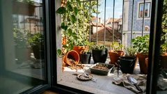 Horta em casa (mesmo num apartamento): o essencial para começar bem e colher mais cedo