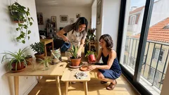 8 plantas de interior quase à prova de esquecimento — e os cuidados mínimos para durarem